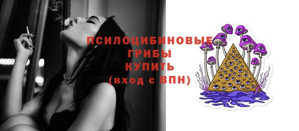 крисы Волоколамск