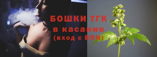 стаф Волосово