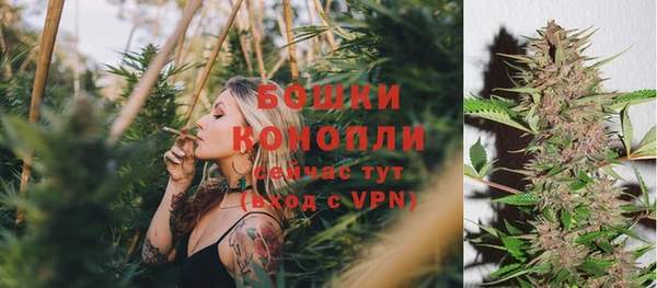 стаф Волосово
