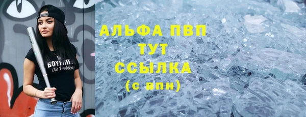 молекула духа Вязьма